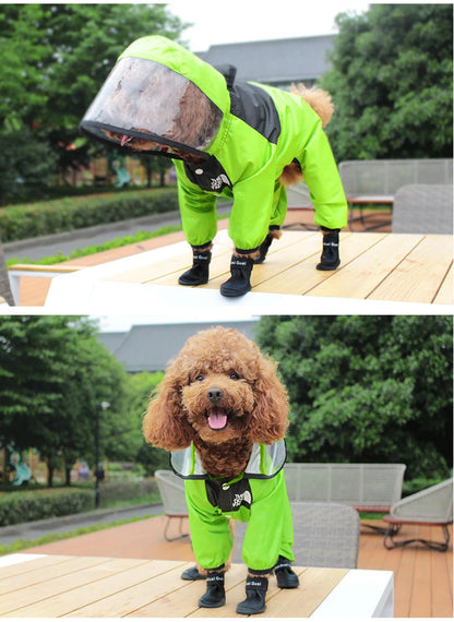 The Dog Face Raincoat