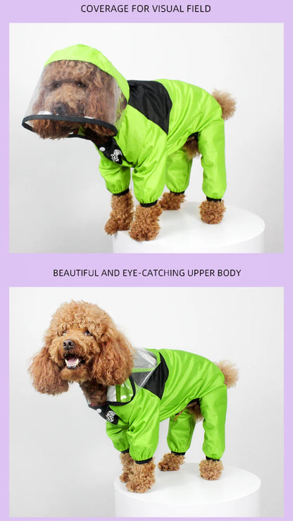 The Dog Face Raincoat