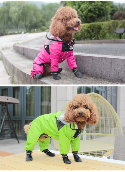 The Dog Face Raincoat