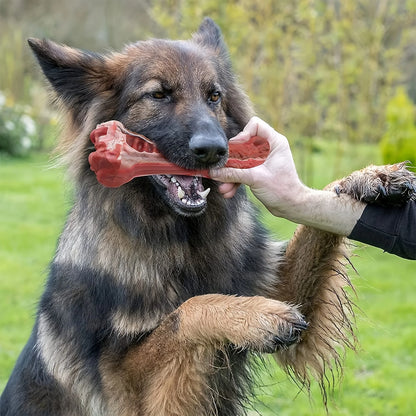 Realistic Bone Chew Toy