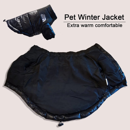 The Dog Face Winter Jacket