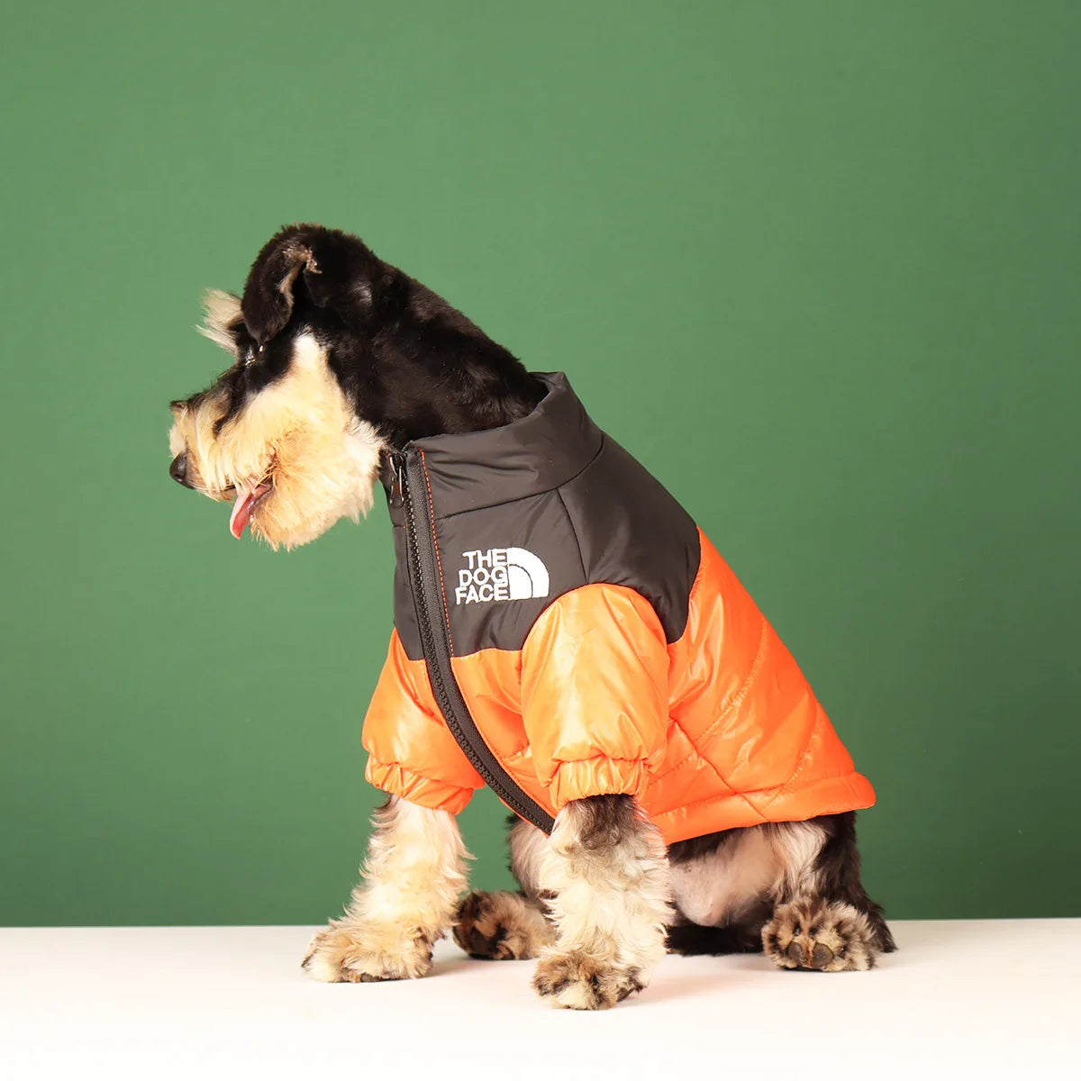 The Dog Face Winter Jacket