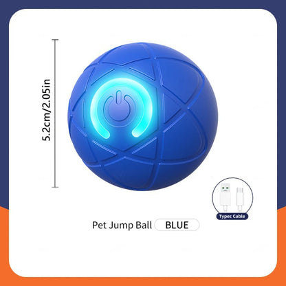 Smart Dog Toy Ball