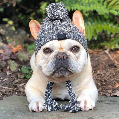 Windproof Knitting Dog Beanies