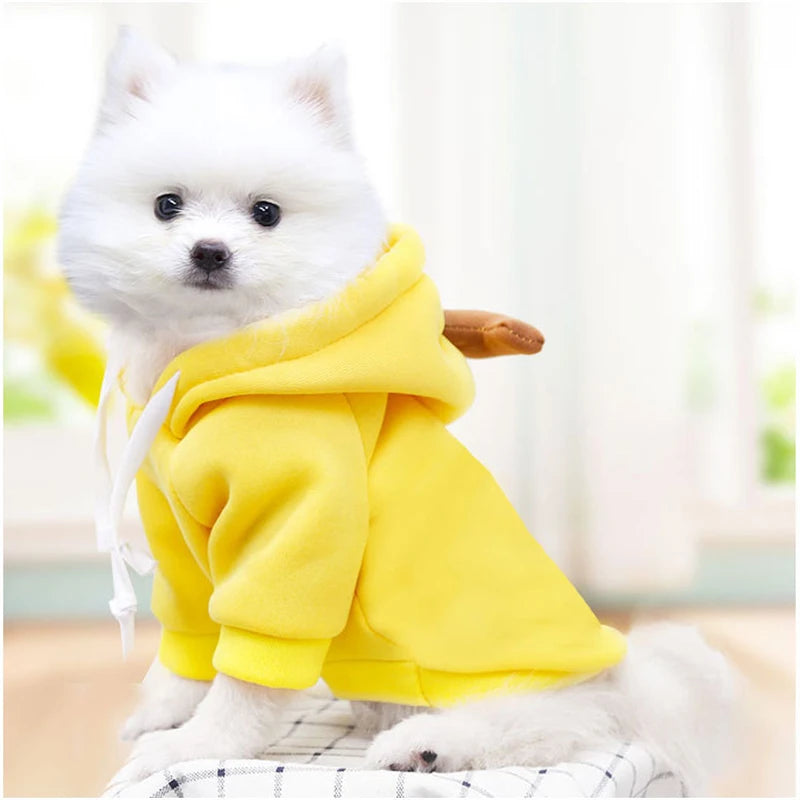 Cosplay Dog Hoodies