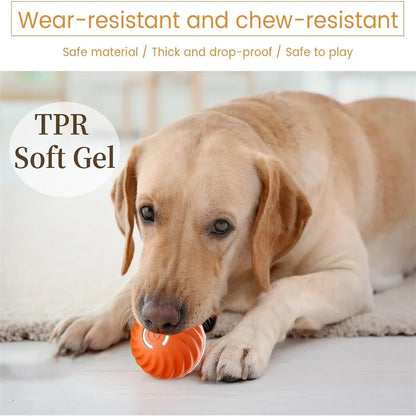 Smart Dog Toy Ball