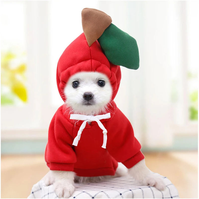 Cosplay Dog Hoodies