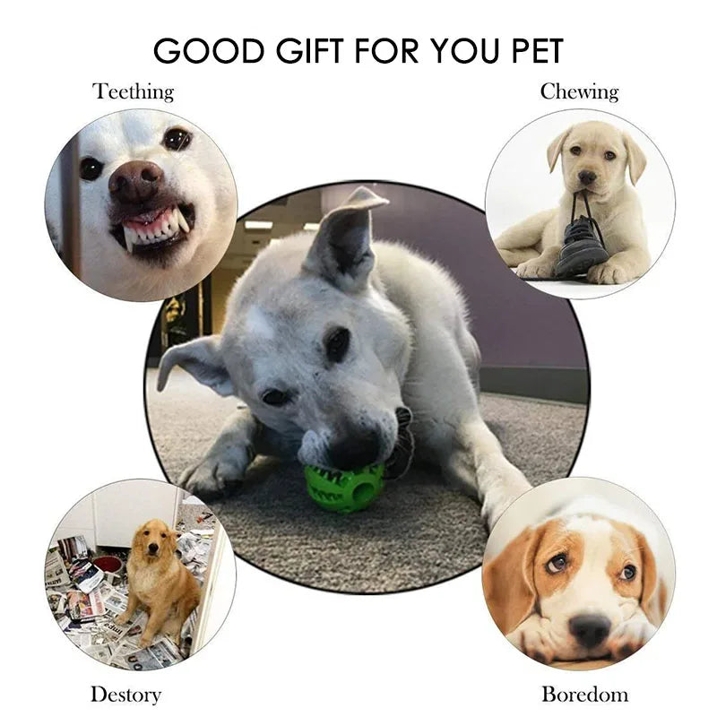 Interactive Rubber Chewing Ball