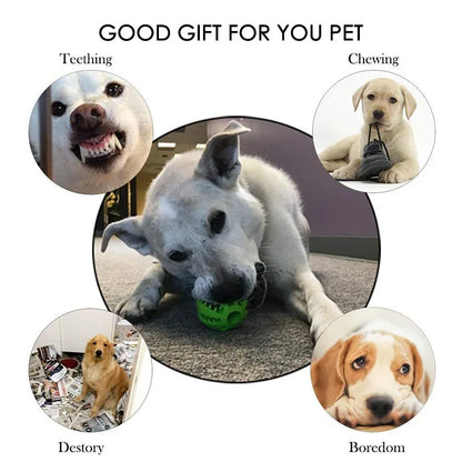 Interactive Rubber Chewing Ball