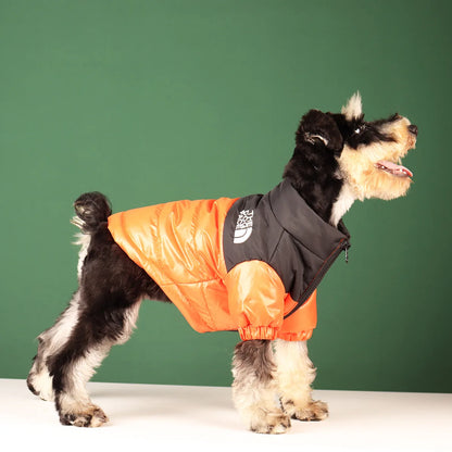 The Dog Face Winter Jacket