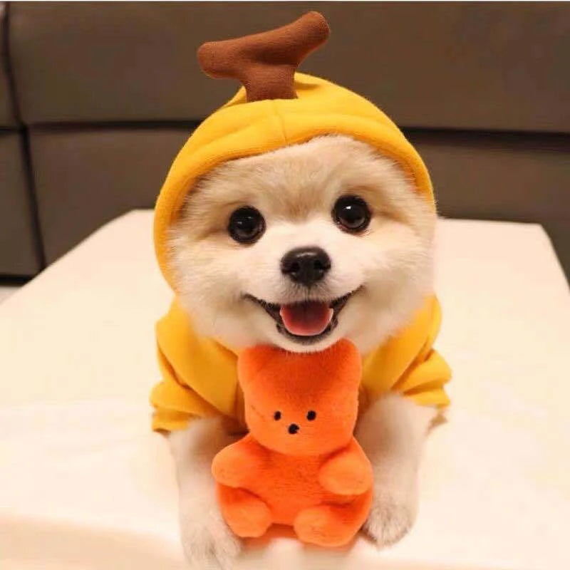 Cosplay Dog Hoodies