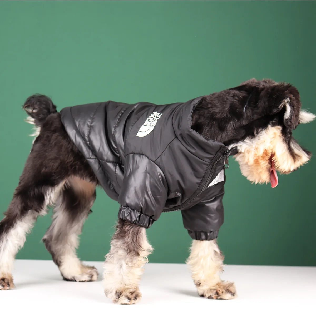 The Dog Face Winter Jacket