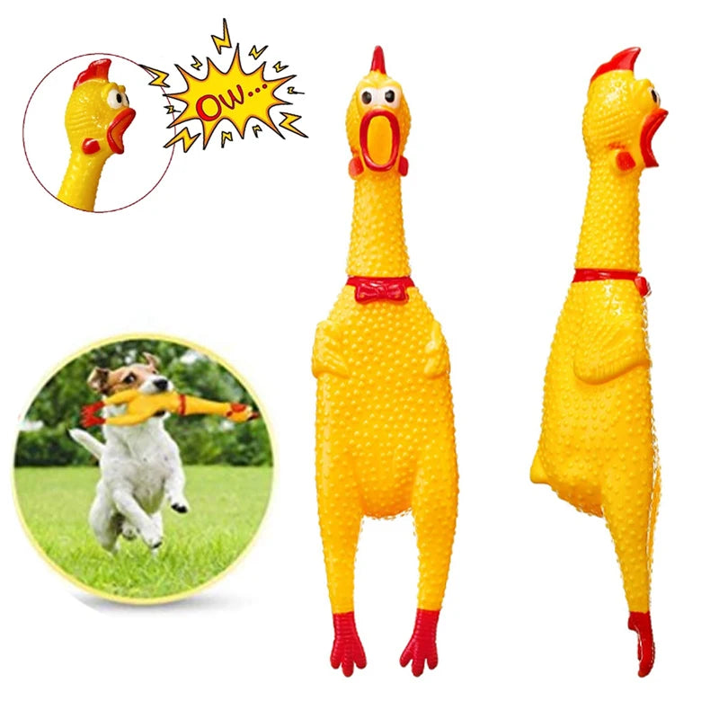 Squeak Toys Screaming Chicken