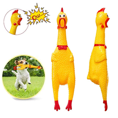 Squeak Toys Screaming Chicken