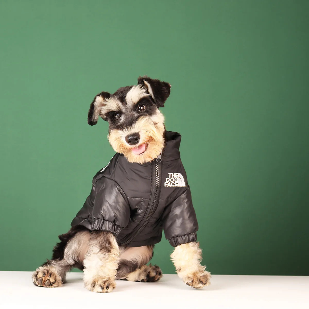 The Dog Face Winter Jacket