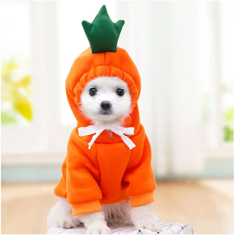 Cosplay Dog Hoodies