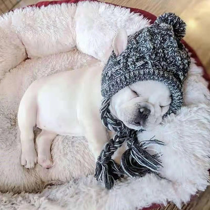 Windproof Knitting Dog Beanies