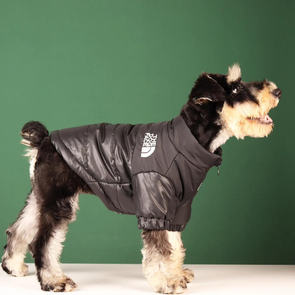 The Dog Face Winter Jacket