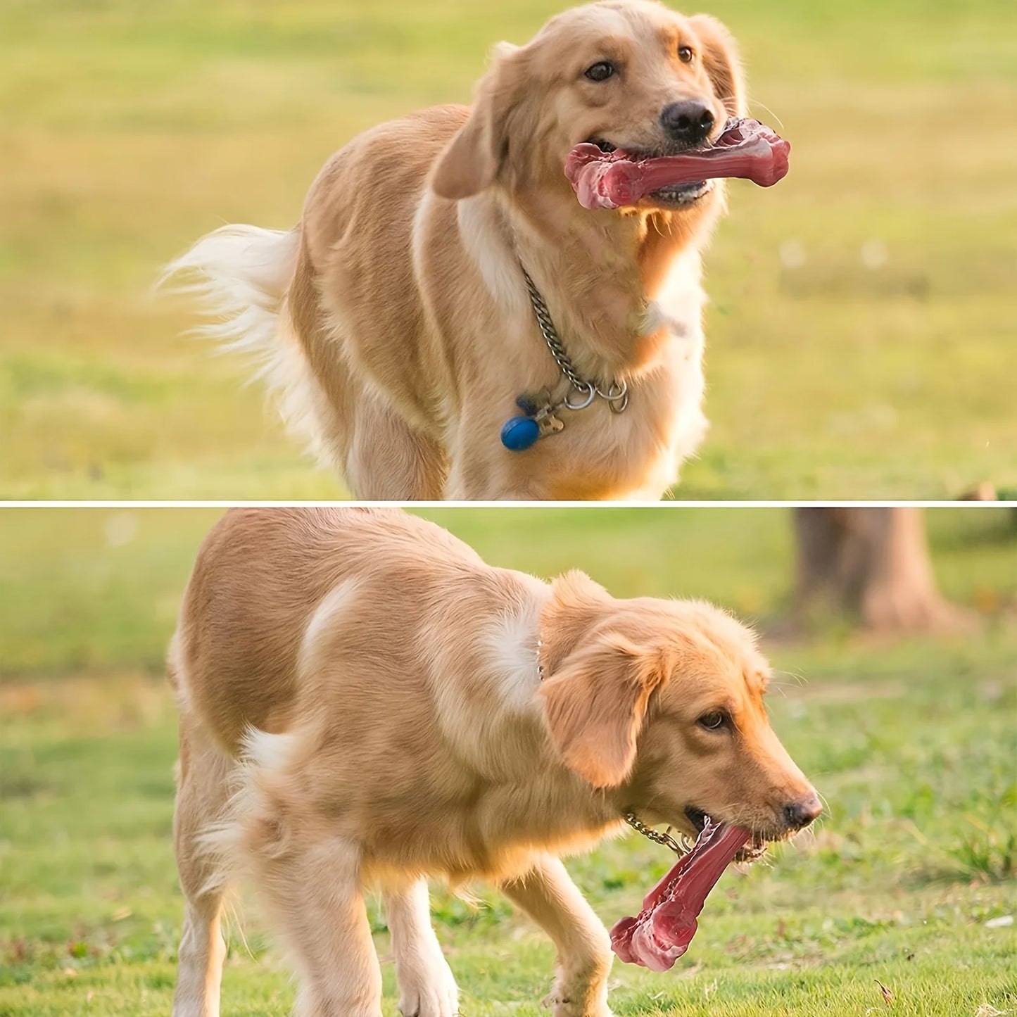 Realistic Bone Chew Toy