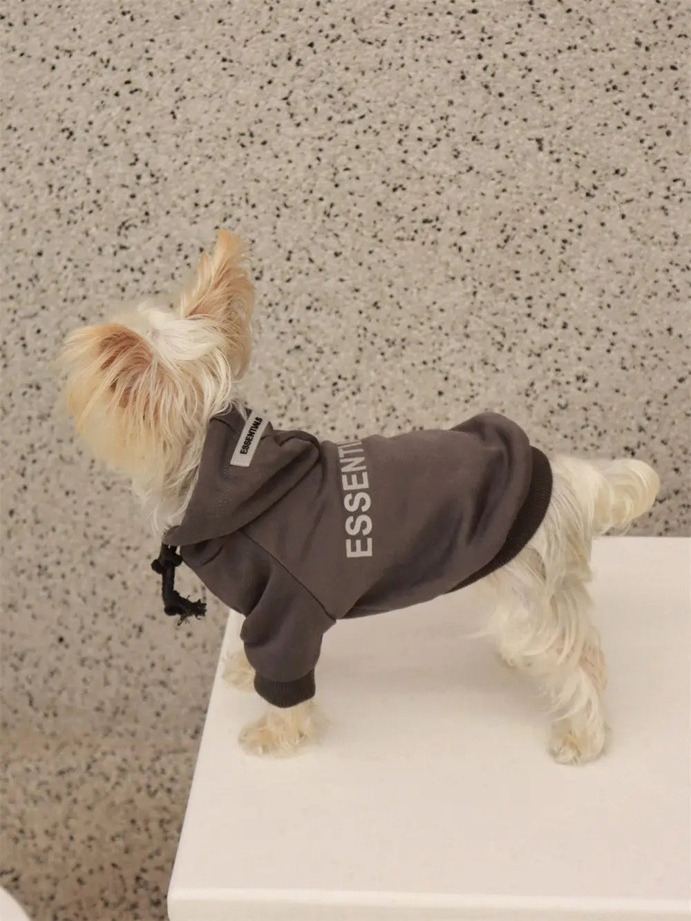 Dog Essentials Sweater