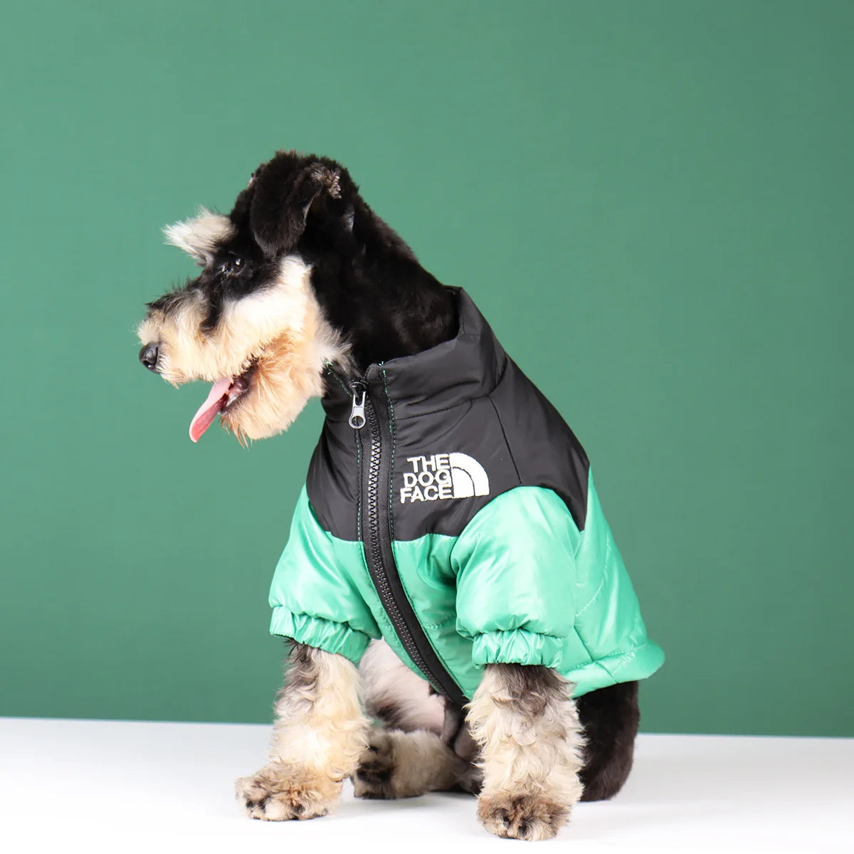 The Dog Face Winter Jacket