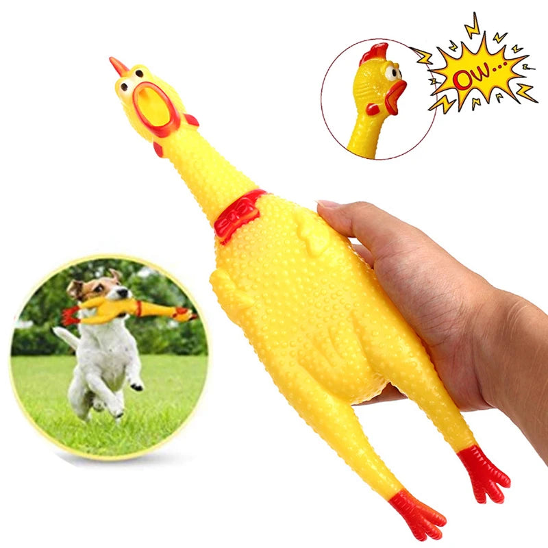 Squeak Toys Screaming Chicken