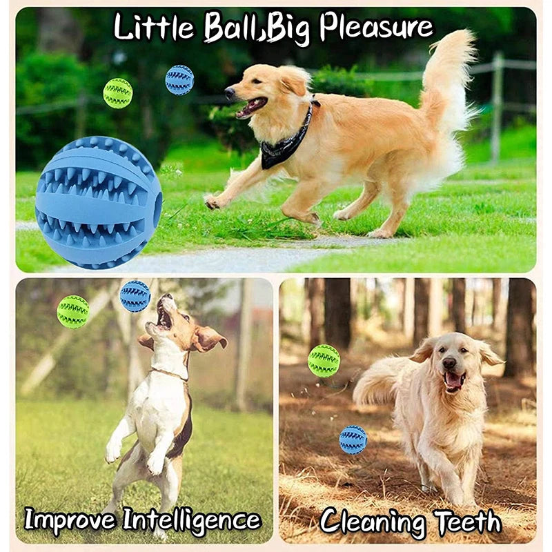 Interactive Rubber Chewing Ball