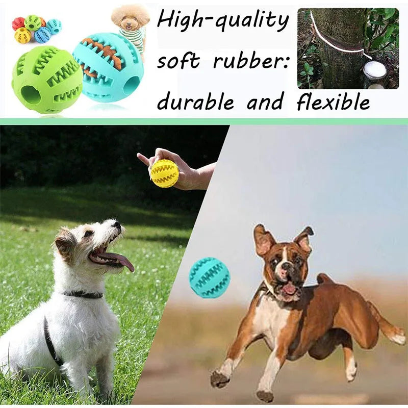 Interactive Rubber Chewing Ball